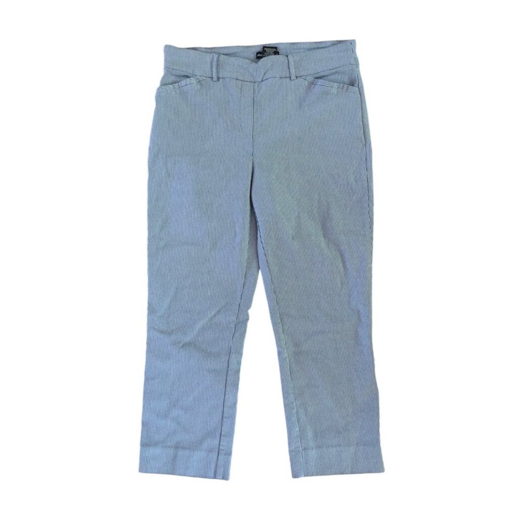 Hilary Radley Womens Blue Striped Cropped Pants Size 12 Rayon Blend